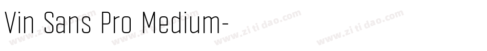 Vin Sans Pro Medium字体转换